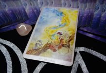 Videntes reales en Collsuspina, Barcelona