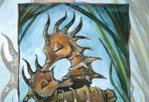 Tarotista de amor por visa de Tomiño, Pontevedra