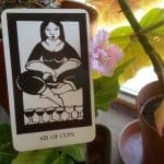 ver-venus-en-linea